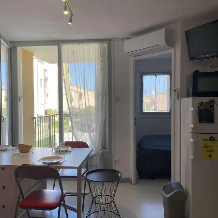 Apartment 2 Pieces/cabine Avec Balcon Et Parking Prive - 200m Plage, Climatise, Animaux Acceptes - Fr-1-229d-116 *
